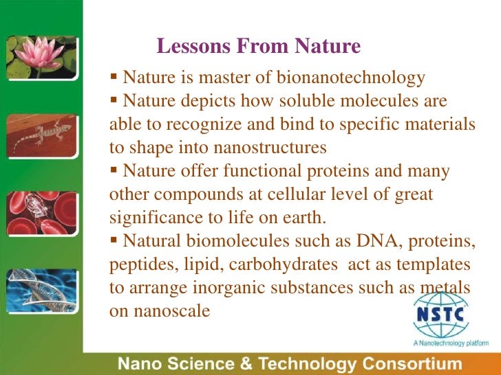 bionanotechnology lessons from nature